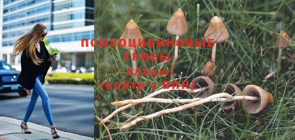 первитин Зерноград