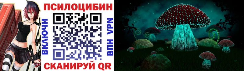 мориарти клад  Зеленоградск  Галлюциногенные грибы MAGIC MUSHROOMS 